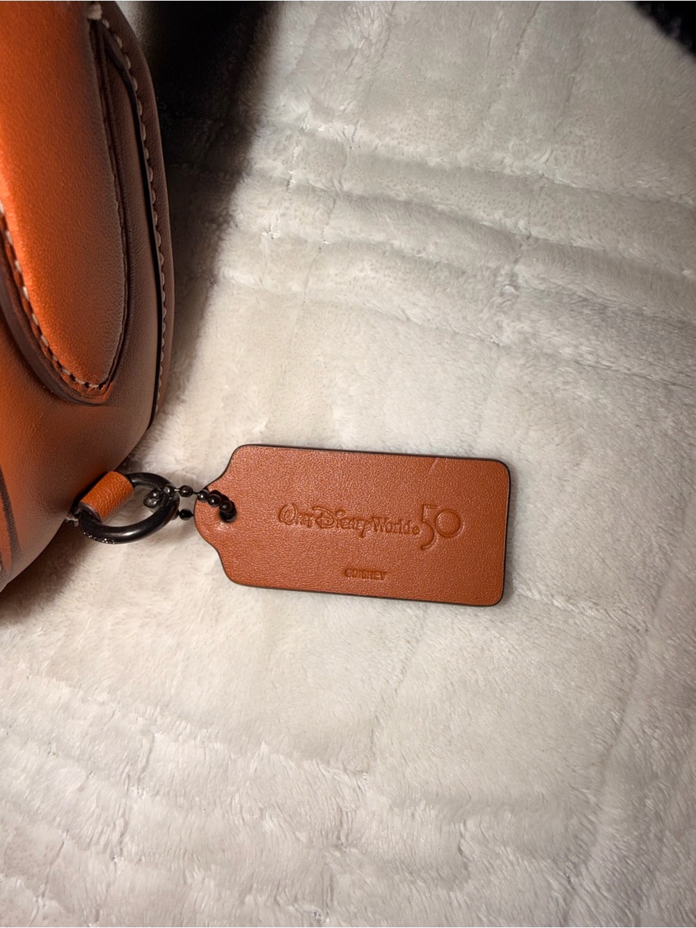 Coach X Disney Mickey and friends back pack - Picture 4 of 6